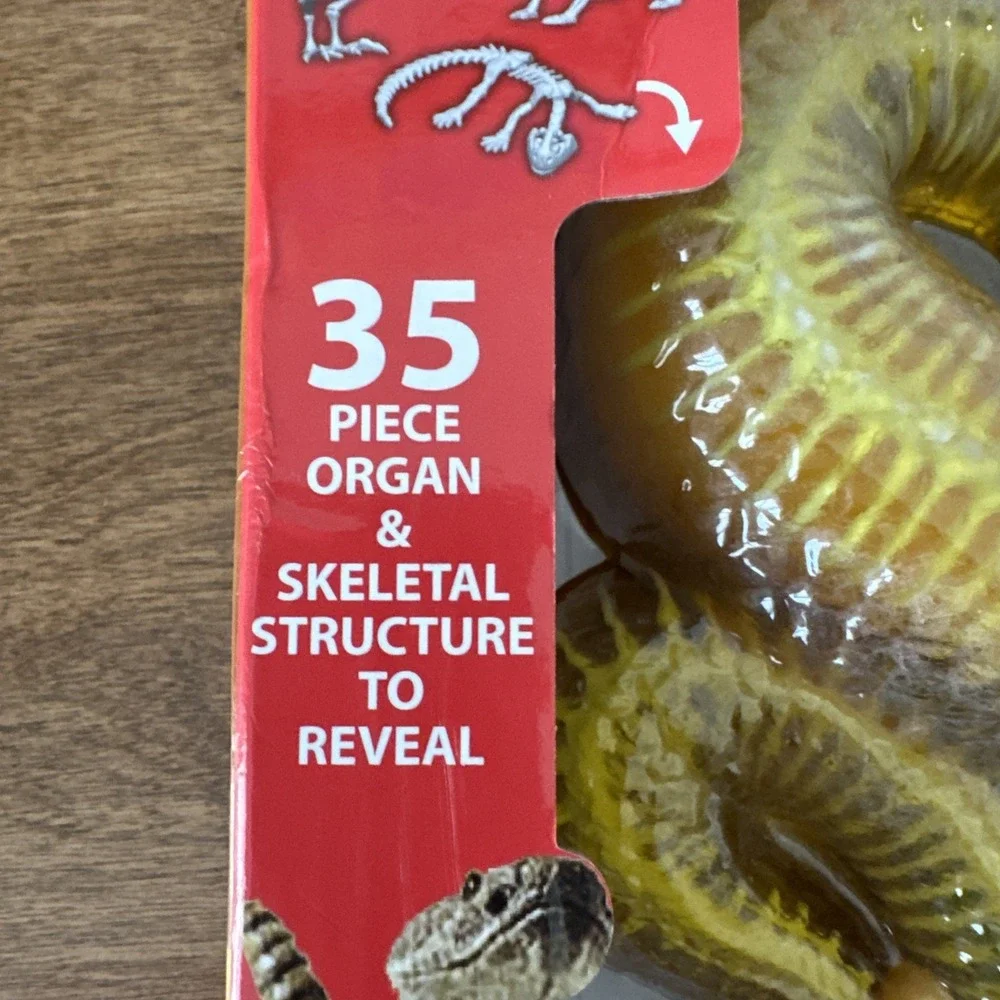 STEM2024 Dissect It 35 Piece Organ Rattlesnake Superlab Dissection Kit #1186 NIB